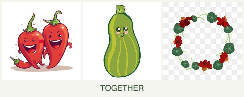 Can you plant peppers, zucchini and nasturtiums together?