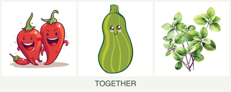 Can you plant peppers, zucchini and oregano together?