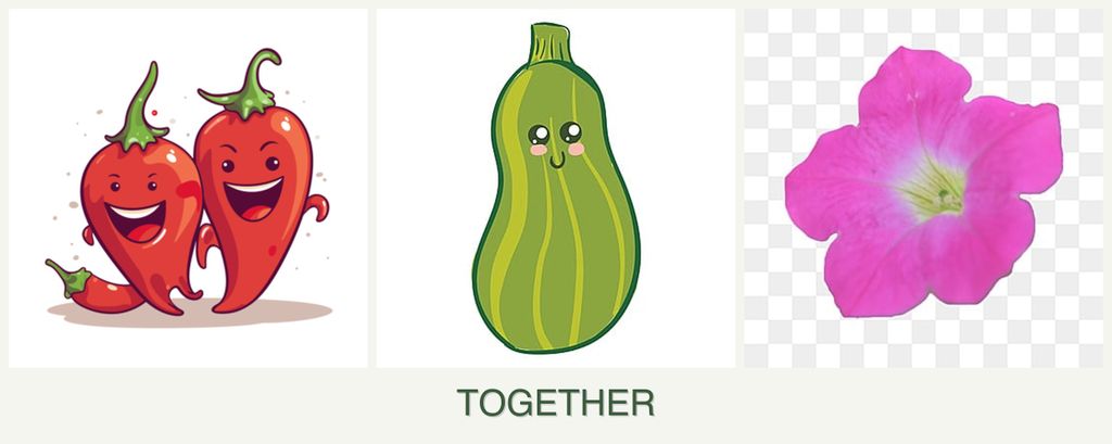 Can you plant peppers, zucchini and petunias together?
