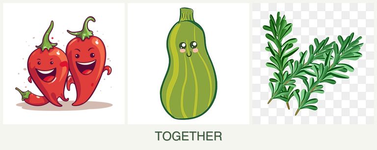 Can you plant peppers, zucchini and rosemary together?