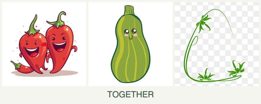 Can you plant peppers, zucchini and tarragon together?