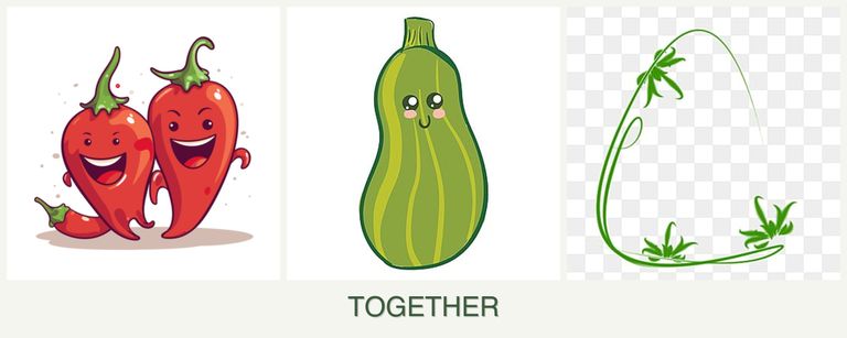 Can you plant peppers, zucchini and tarragon together?