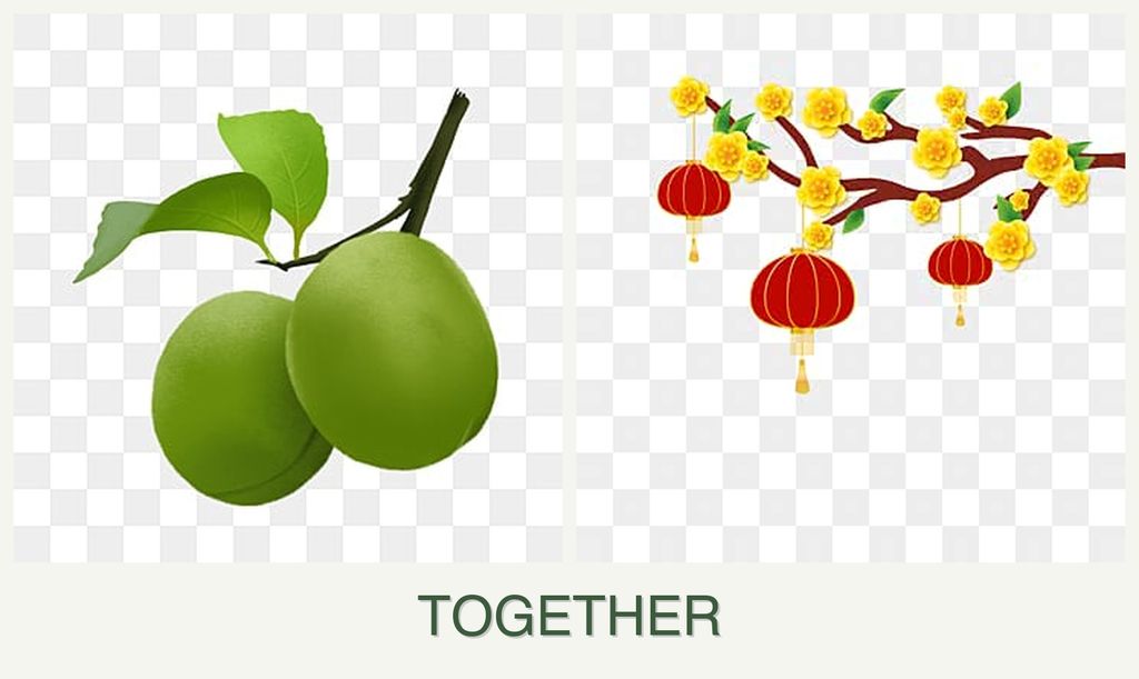 Can you plant plums and apricots together?