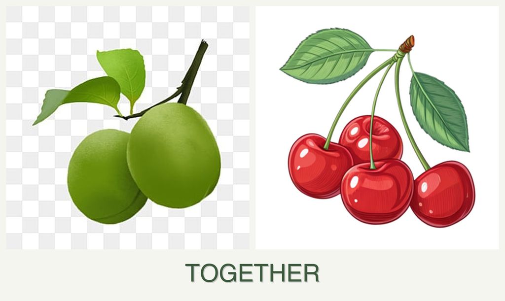 Can you plant plums and cherries together?