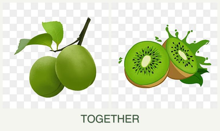 Can you plant plums and kiwi together?