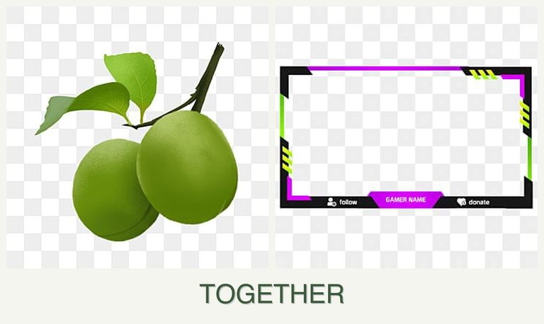 Can you plant plums and limes together?