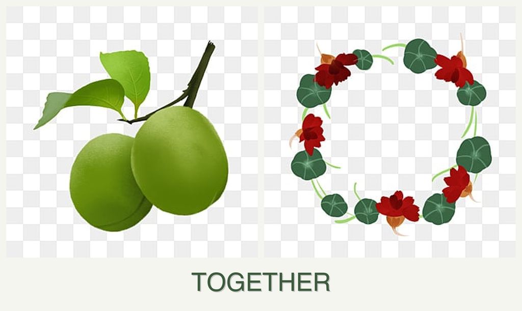 Can you plant plums and nasturtiums together?