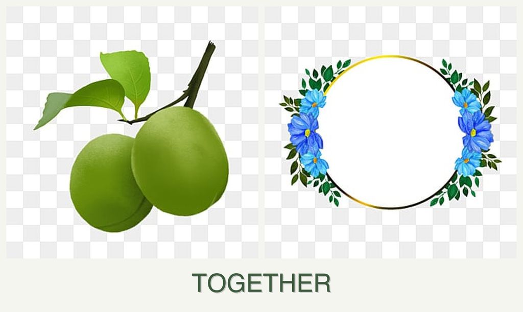 Can you plant plums and zinnias together?