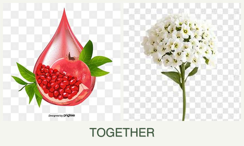 Can you plant pomegranates and alyssum together?