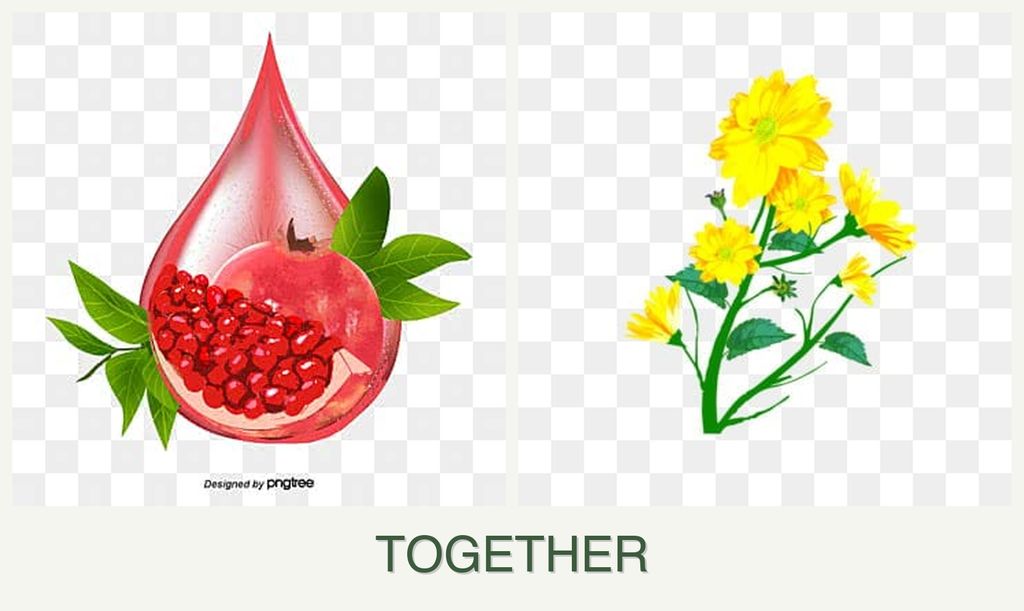 Can you plant pomegranates and calendula together?