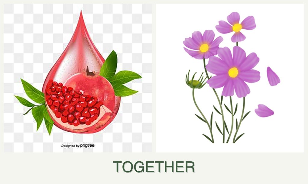 Can you plant pomegranates and cosmos together?