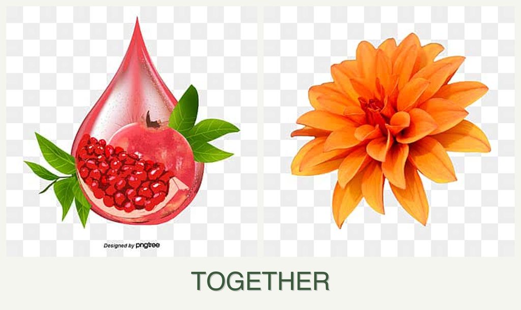 Can you plant pomegranates and dahlias together?