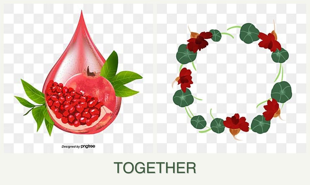 Can you plant pomegranates and nasturtiums together?