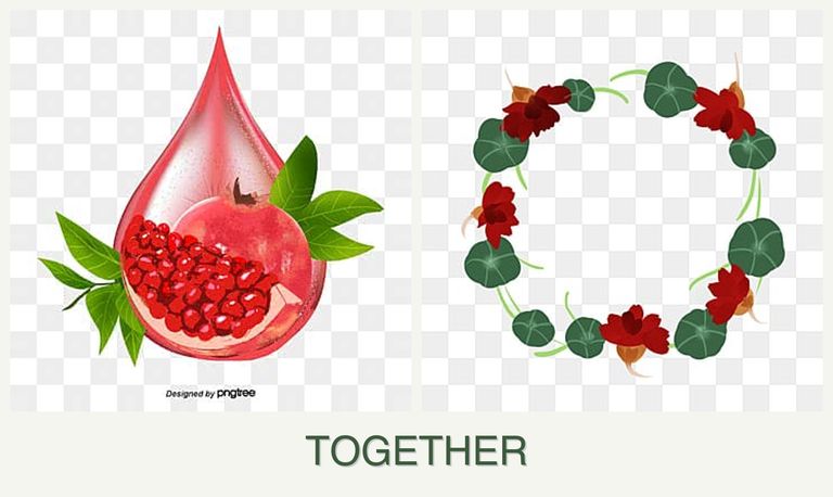 Can you plant pomegranates and nasturtiums together?