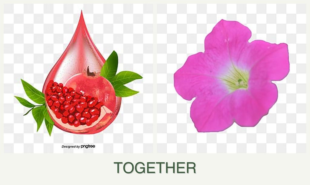 Can you plant pomegranates and petunias together?
