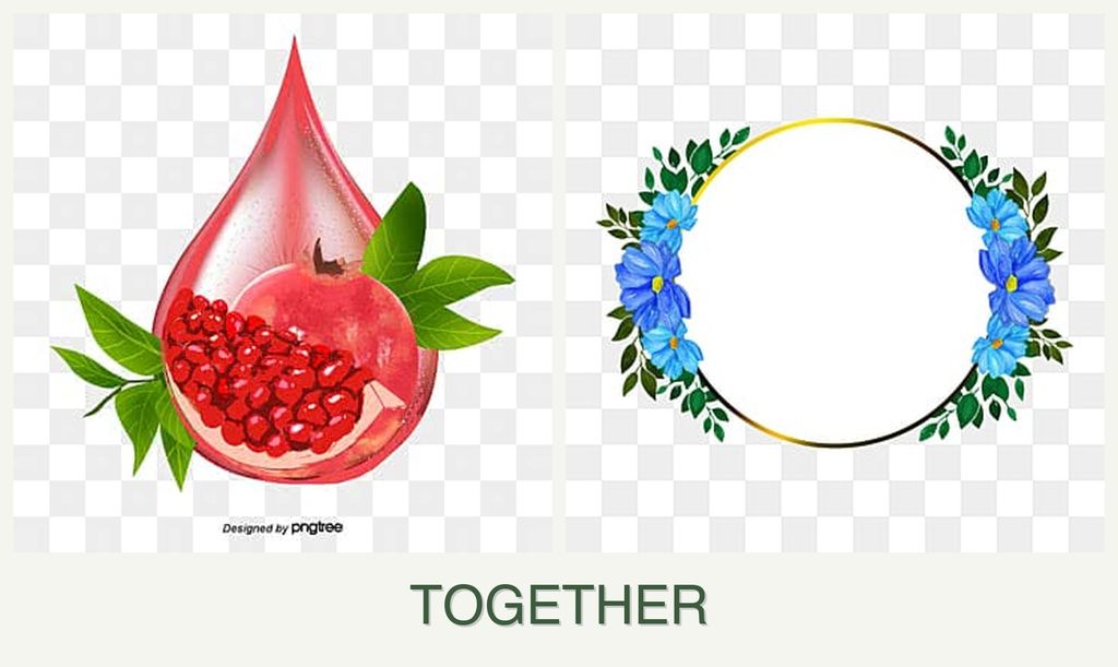 Can you plant pomegranates and zinnias together?