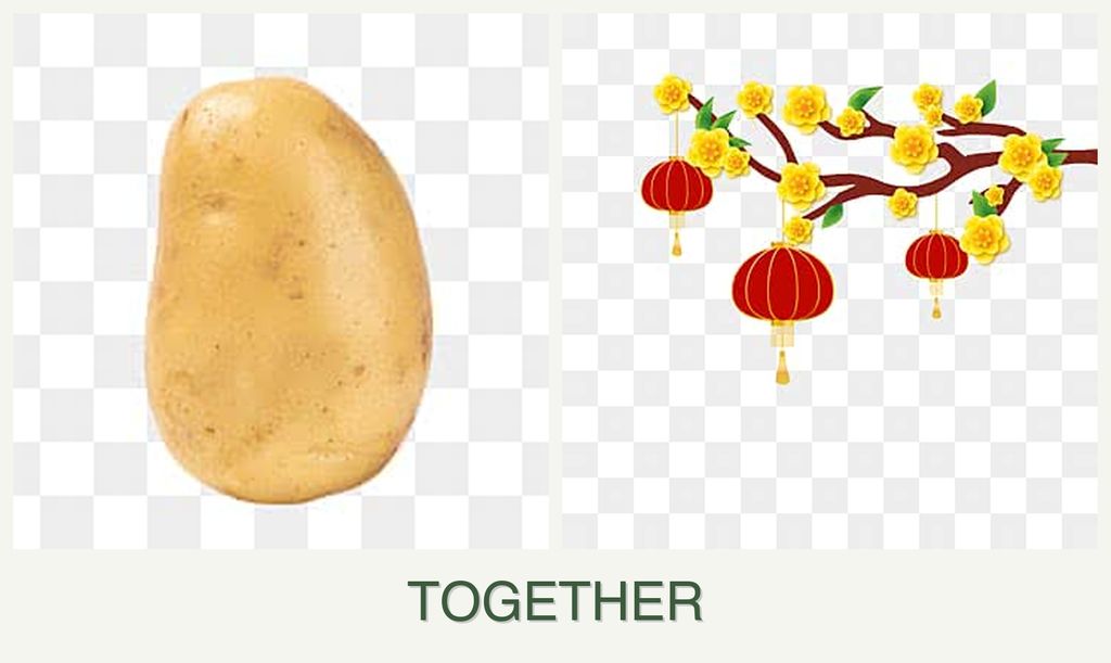 Can you plant potatoes and apricots together?