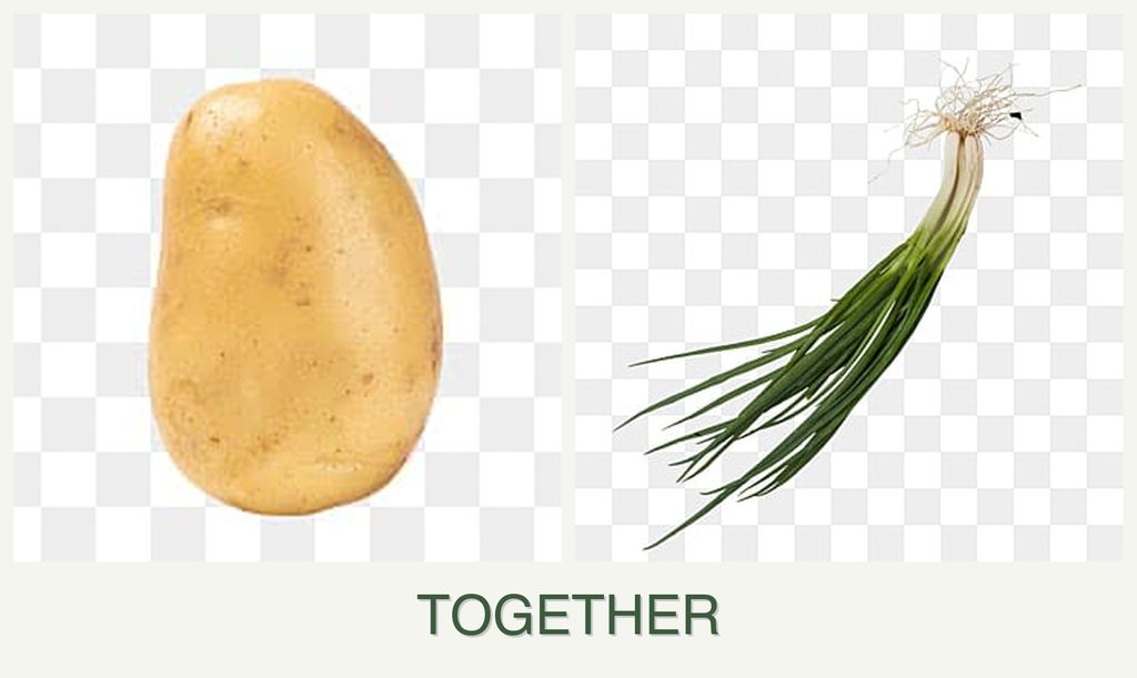 Can you plant potatoes and chives together?