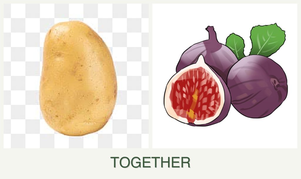 Can you plant potatoes and figs together?