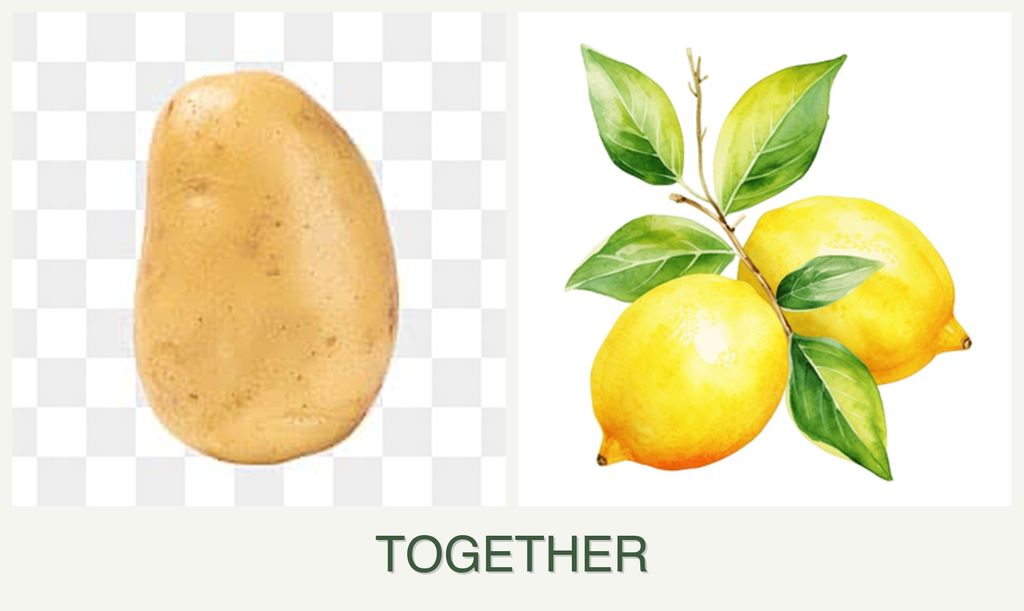 Can you plant potatoes and lemons together?