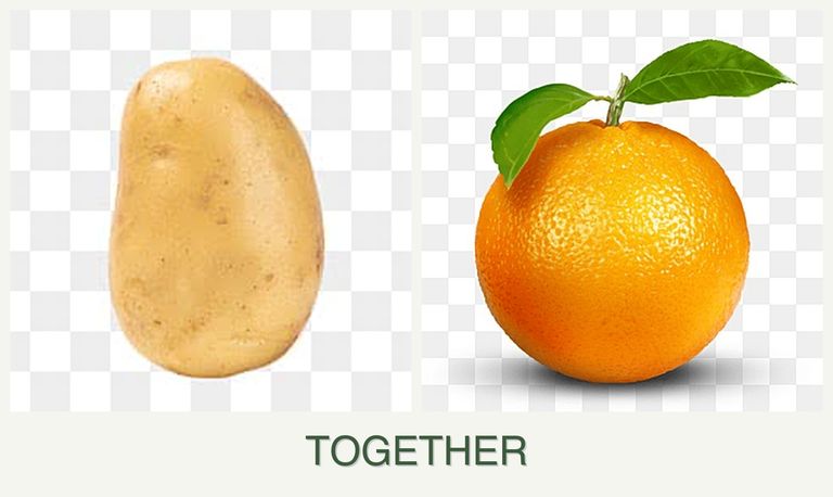 Can you plant potatoes and oranges together?