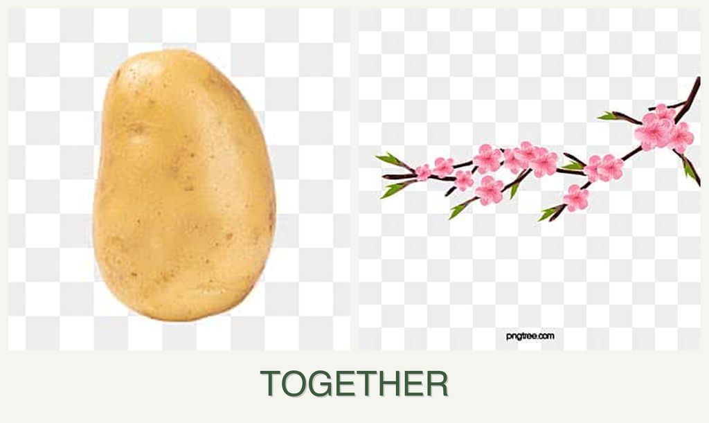 Can you plant potatoes and peaches together?