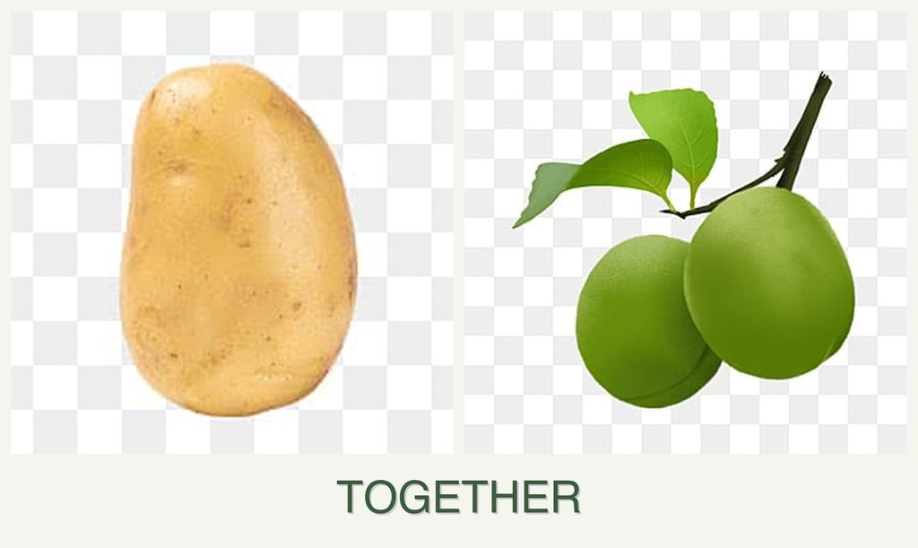 Can you plant potatoes and plums together?
