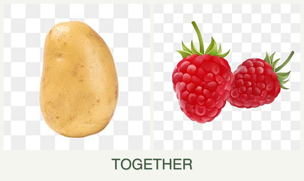 Can you plant potatoes and raspberries together?