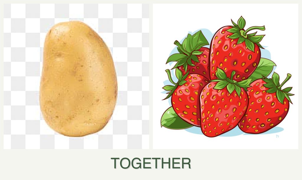 Can you plant potatoes and strawberries together?