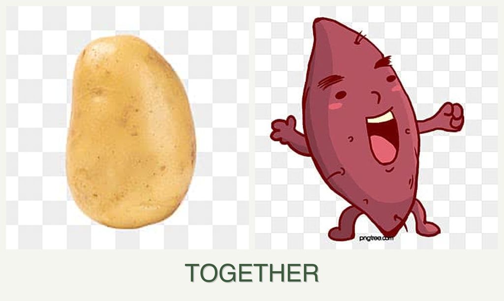 Can you plant potatoes and sweet potatoes together?