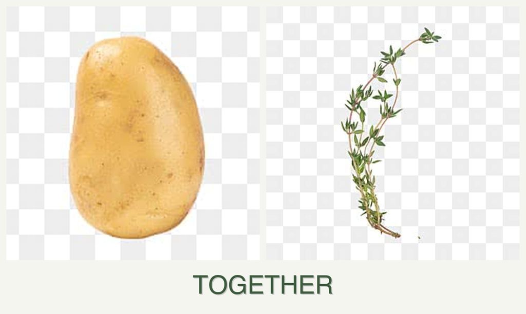 Can you plant potatoes and thyme together?
