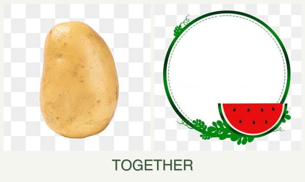 Can you plant potatoes and watermelons together?