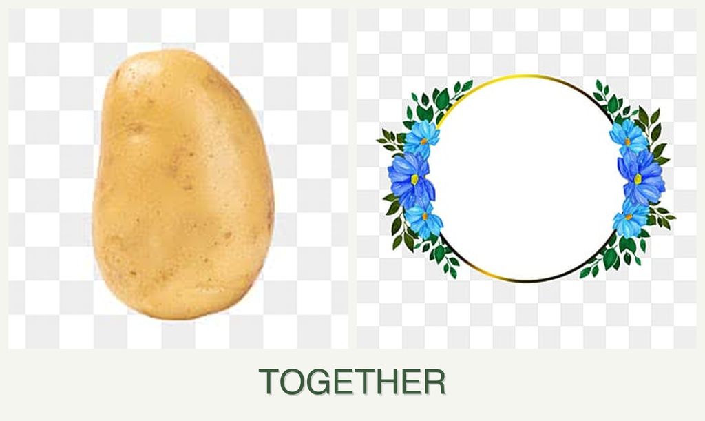Can you plant potatoes and zinnias together?