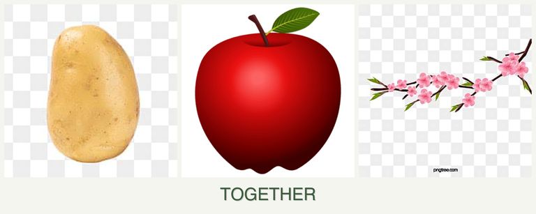 Can you plant potatoes, apples and peaches together?