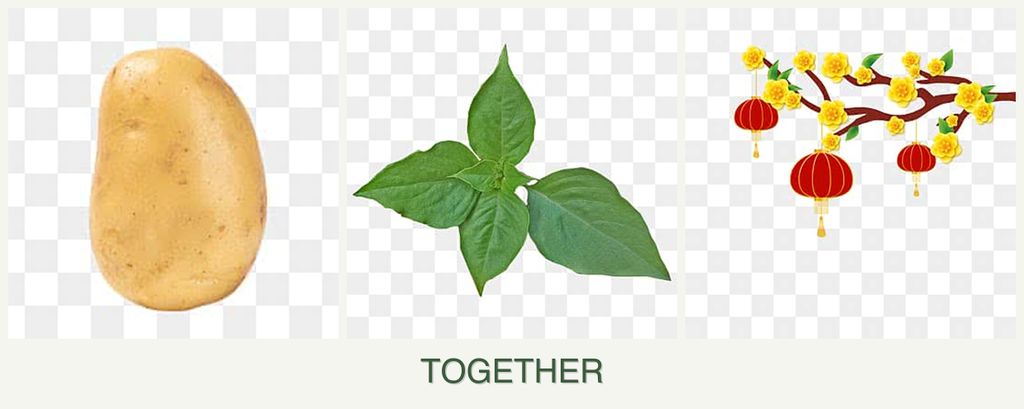 Can you plant potatoes, basil and apricots together?