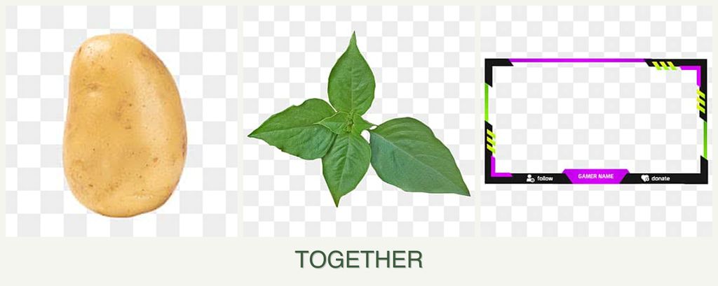 Can you plant potatoes, basil and limes together?
