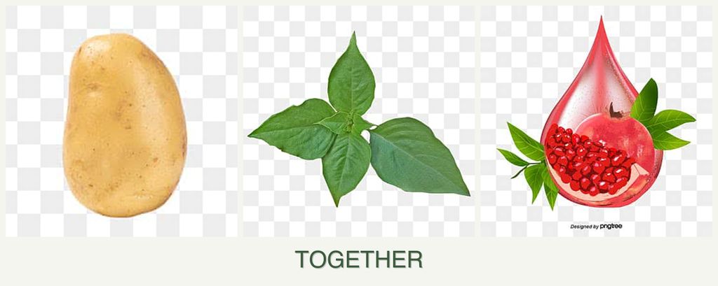 Can you plant potatoes, basil and pomegranates together?