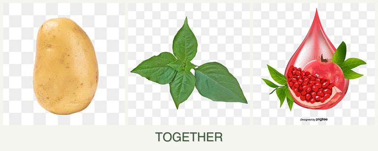 Can you plant potatoes, basil and pomegranates together?