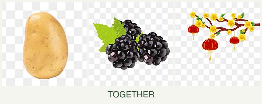 Can you plant potatoes, blackberries and apricots together?