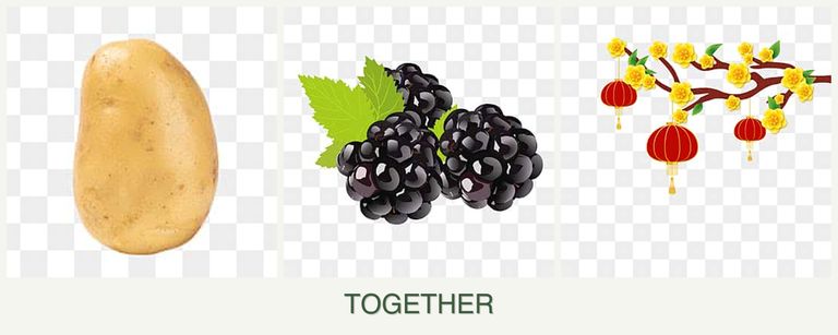 Can you plant potatoes, blackberries and apricots together?