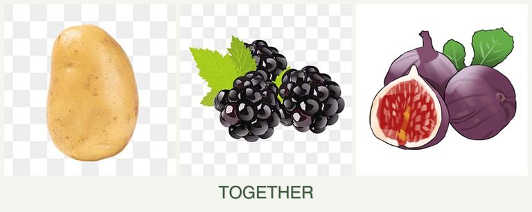 Can you plant potatoes, blackberries and figs together?