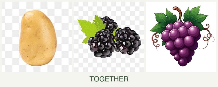 Can you plant potatoes, blackberries and grapes together?