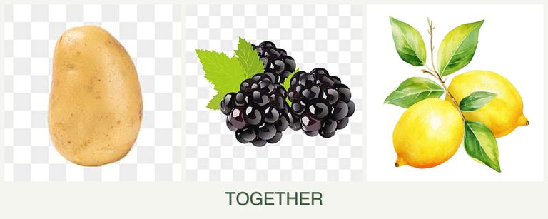 Can you plant potatoes, blackberries and lemons together?