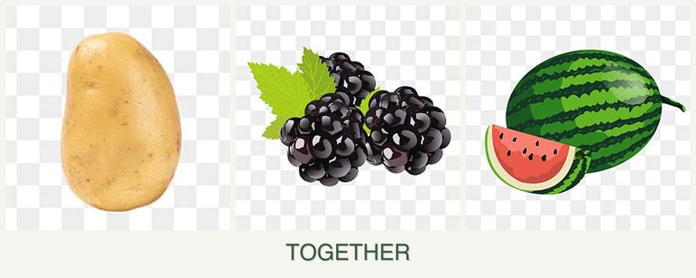 Can you plant potatoes, blackberries and melons together?