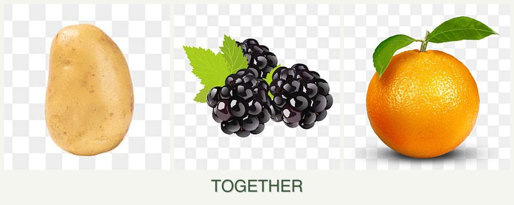 Can you plant potatoes, blackberries and oranges together?