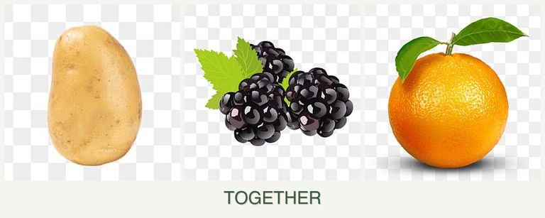 Can you plant potatoes, blackberries and oranges together?