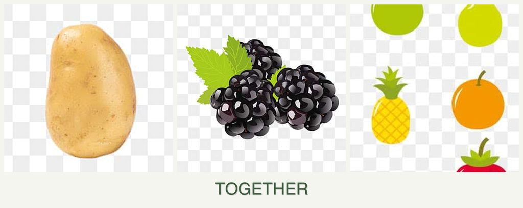 Can you plant potatoes, blackberries and pears together?