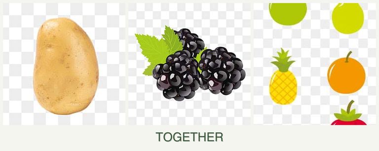 Can you plant potatoes, blackberries and pears together?