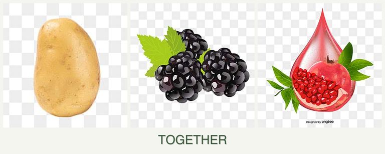 Can you plant potatoes, blackberries and pomegranates together?
