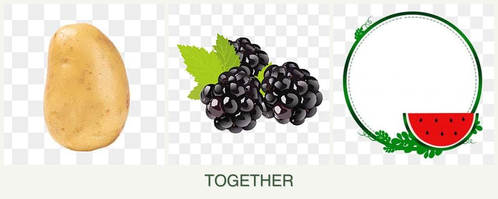 Can you plant potatoes, blackberries and watermelons together?